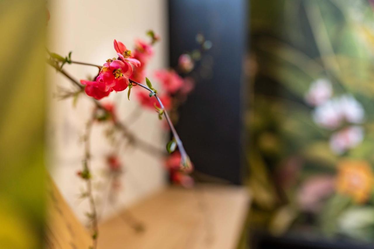 Maloca' Joffre La Roche-sur-Yon Ngoại thất bức ảnh